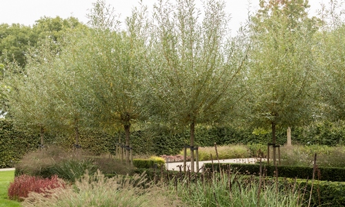 Tuinideeën Tuinideeën