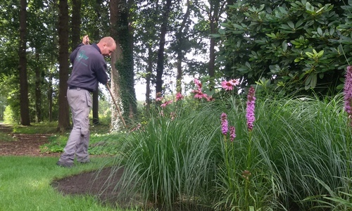 Tuinonderhoud Tuinonderhoud